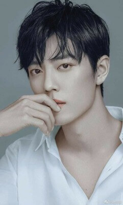 シャオ･ジャン(肖戦)